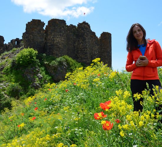 ru-amberd-fortress