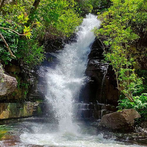 am-khosrov-forest-state-reserve