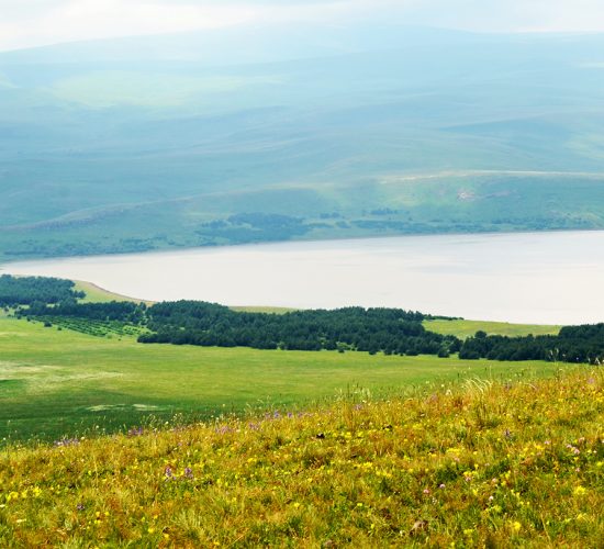 ozero-arpi