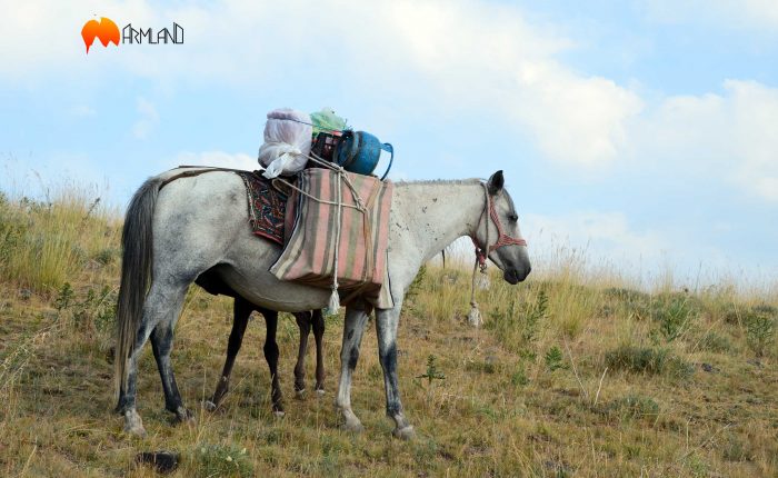 ararat