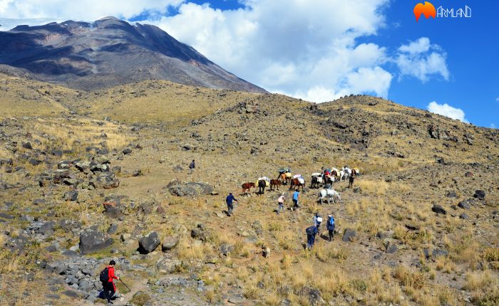 ararat