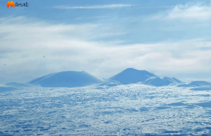 Mountain Arjanots