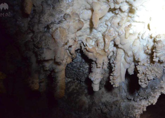 arjeri cave