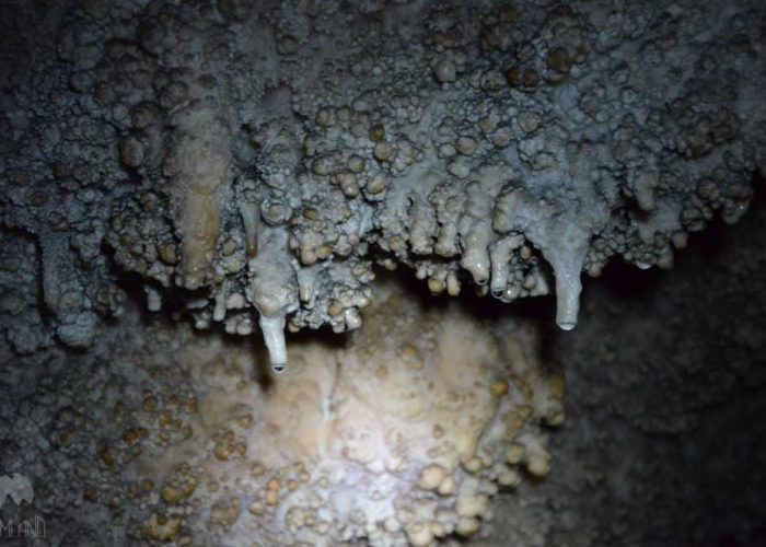 arjeri cave