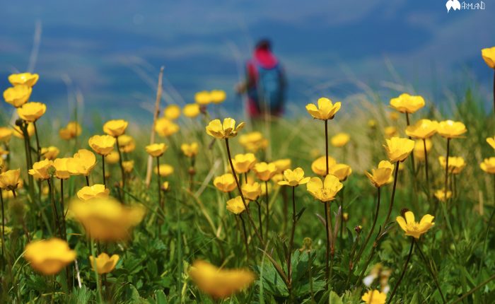 Mountain photography