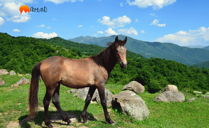 Mountain photography