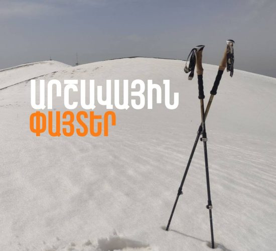trekkingpoles