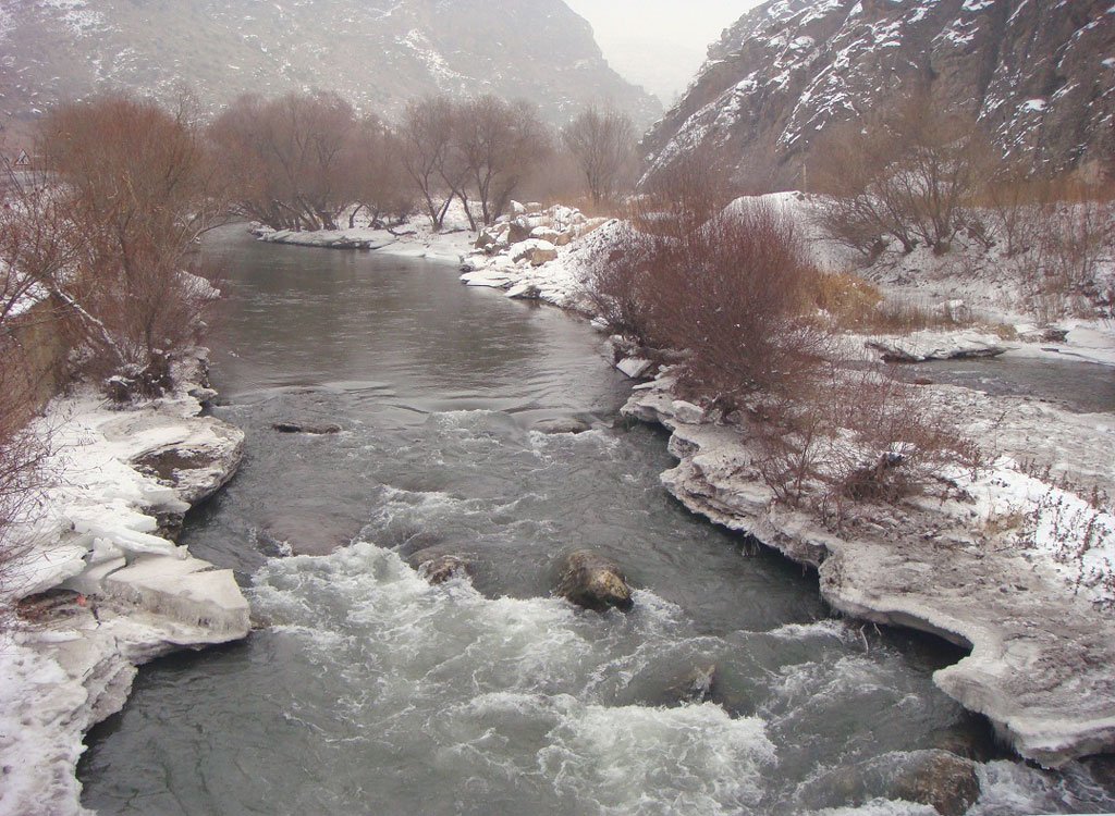 arpariver