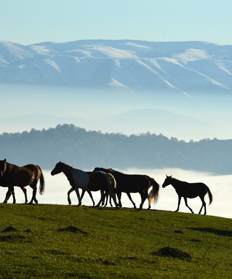 ru-ijevan-mountains-trekking