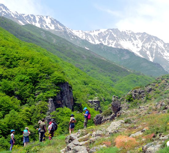 natsionalniy-park-arevik