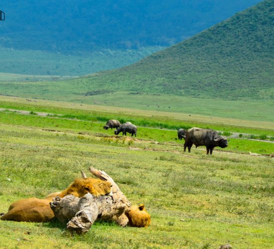 ru-kilimanjaro-trekking