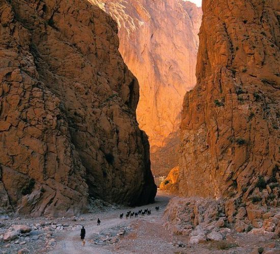 am-climbing-mount-toubkal