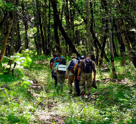 ru-top-hiking-trails-in-syunik