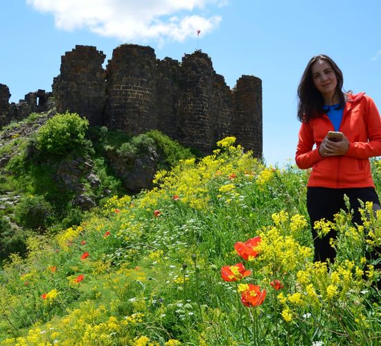 en-amberd-fortress