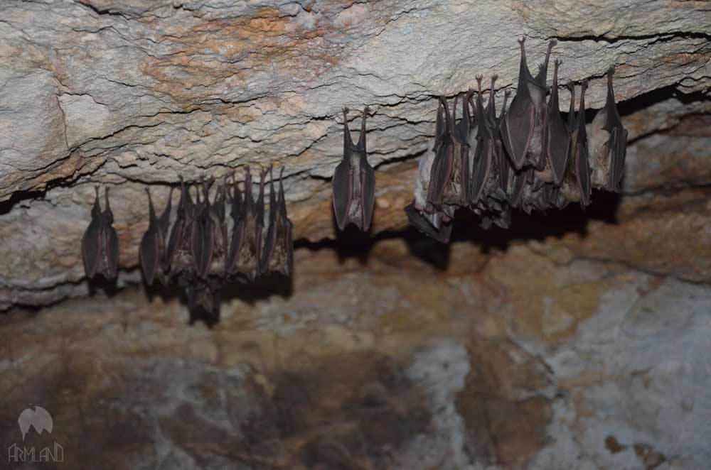 en-arjer-cave